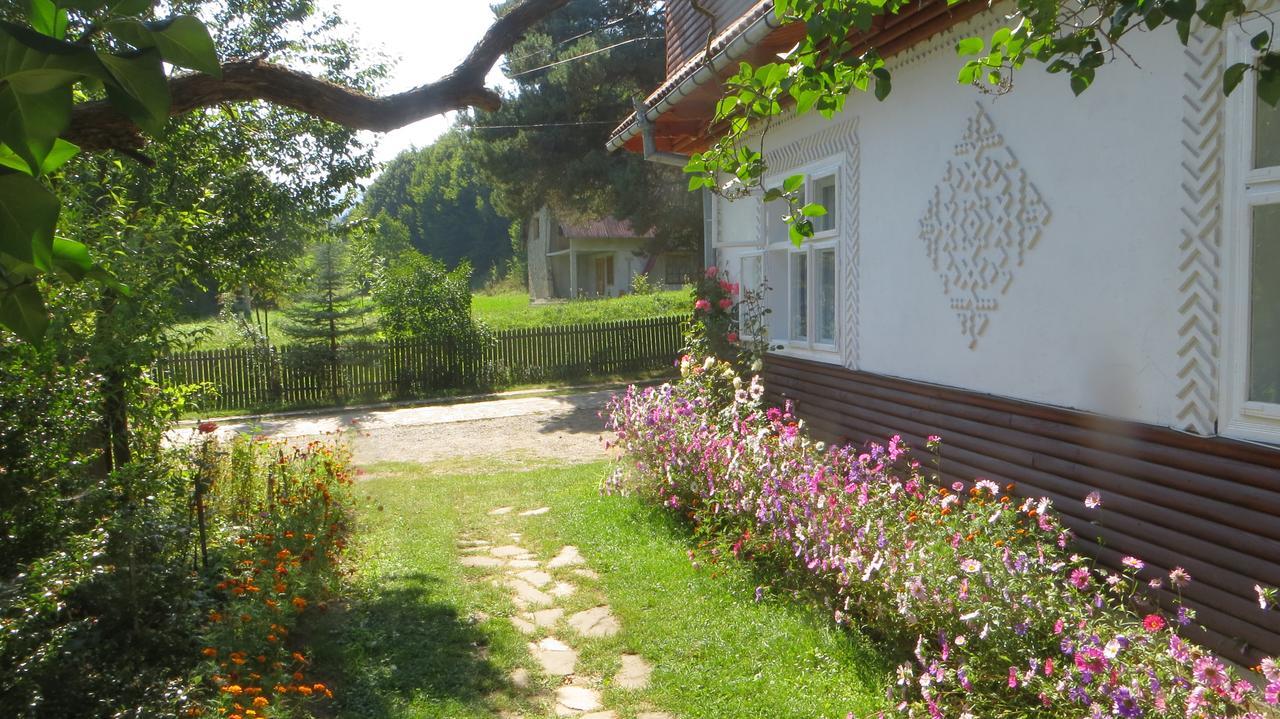 Pensiunea Poiana De Vis Sucevita Esterno foto