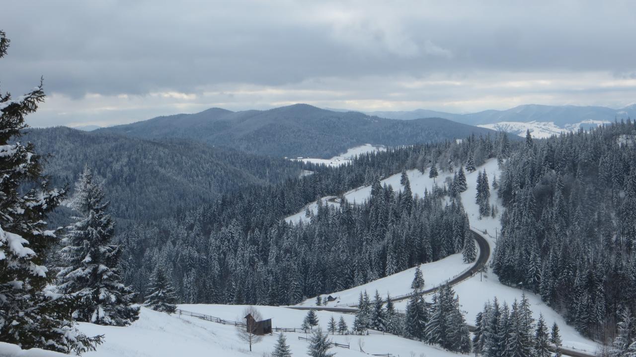 Pensiunea Poiana De Vis Sucevita Esterno foto