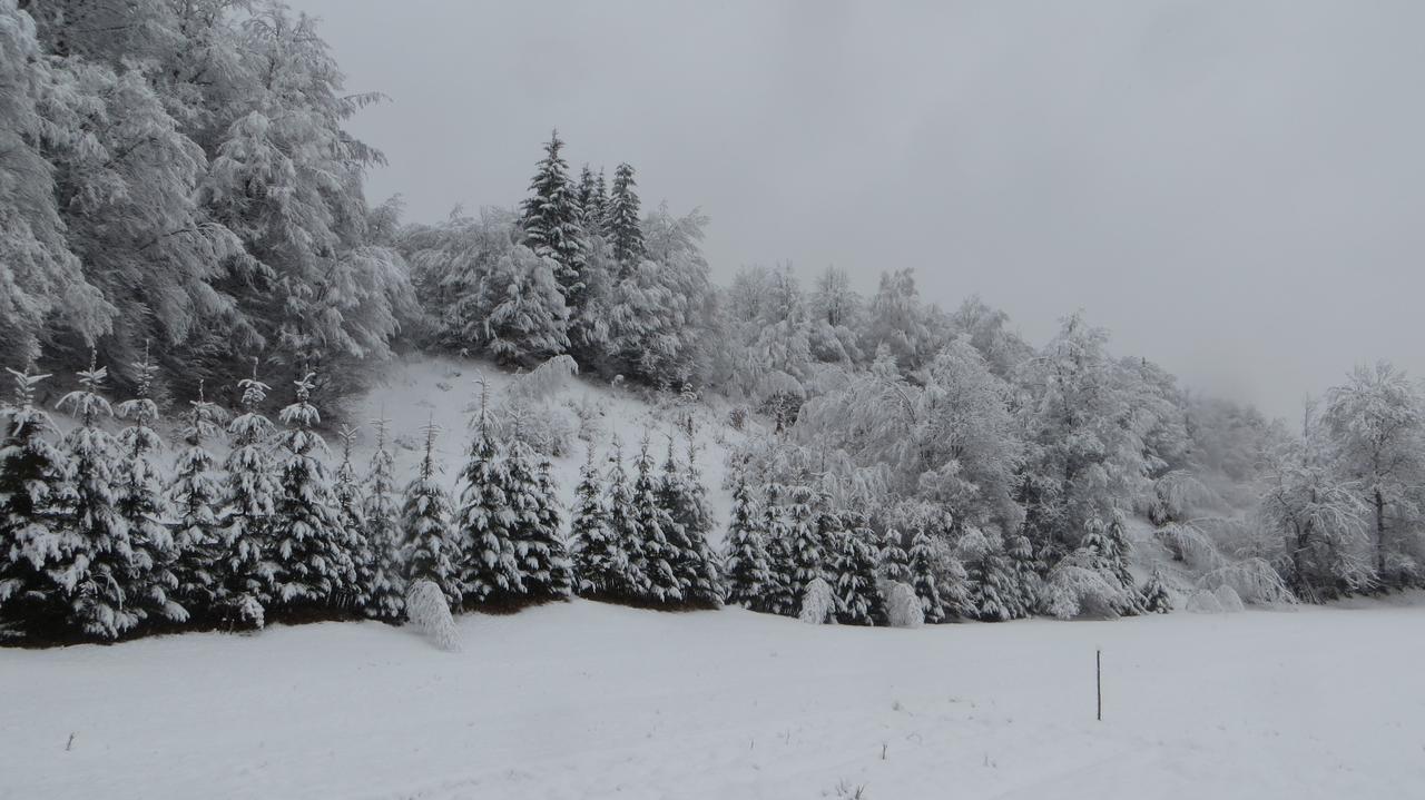 Pensiunea Poiana De Vis Sucevita Esterno foto