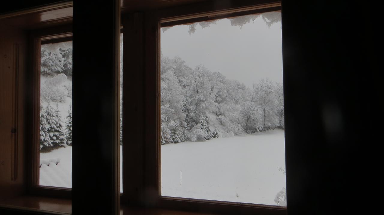 Pensiunea Poiana De Vis Sucevita Esterno foto